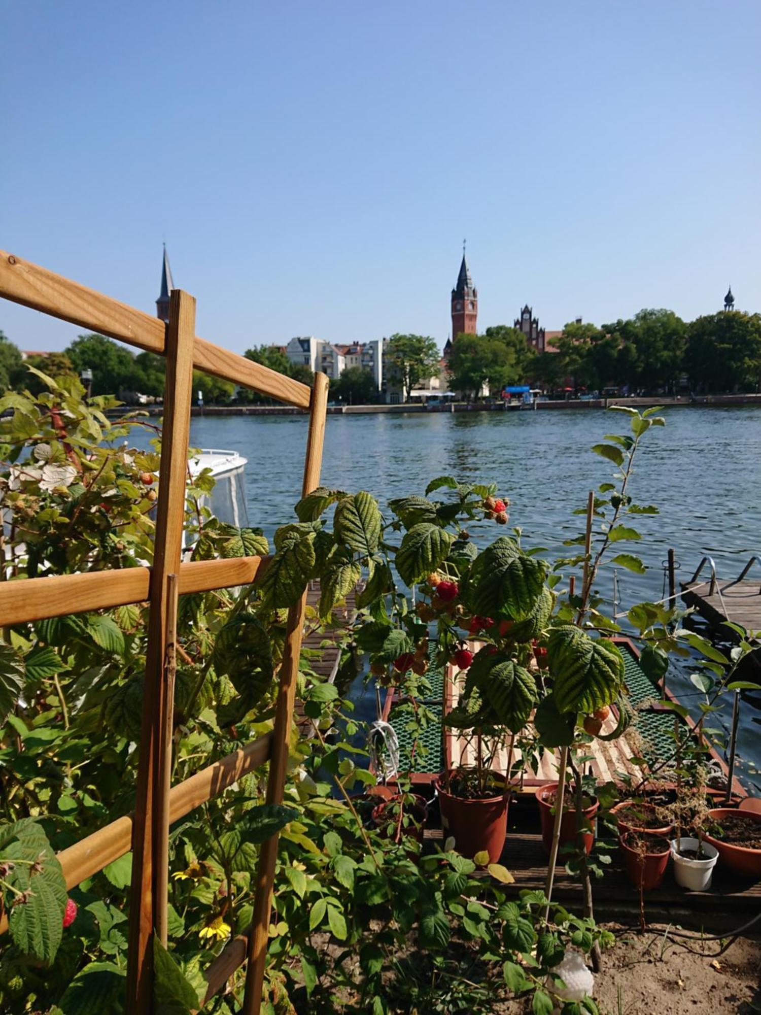 Ferienwohnung Dahme Berlin Am Wasser Extérieur photo